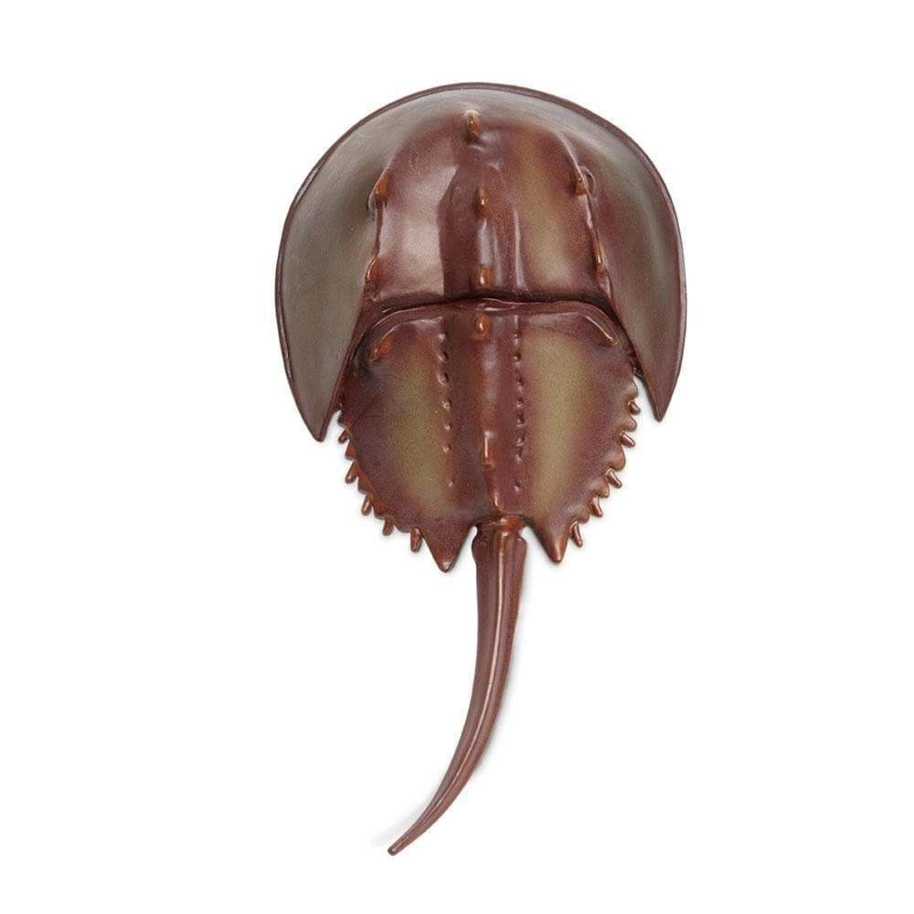 Safari Ltd. - Horseshoe Crab Kids Toy Figure