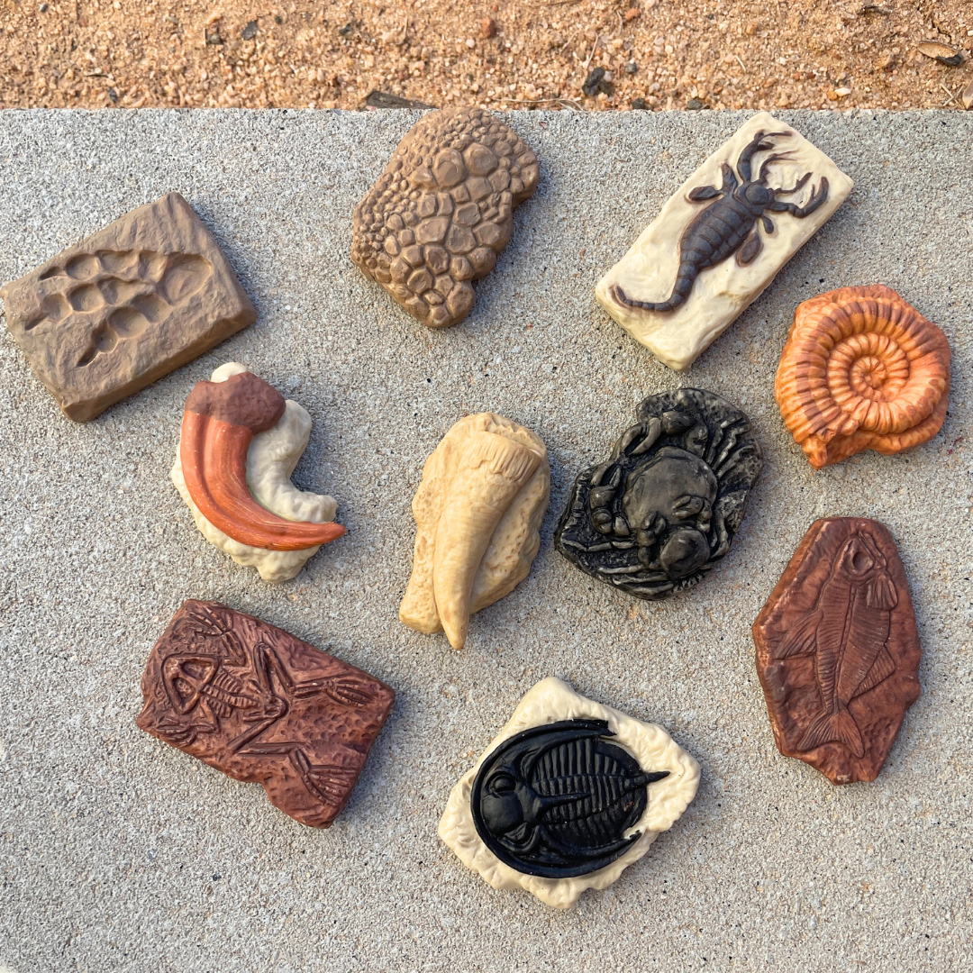 Safari Ltd. - Ancient Fossils TOOB - contains 10 Mini Figurines