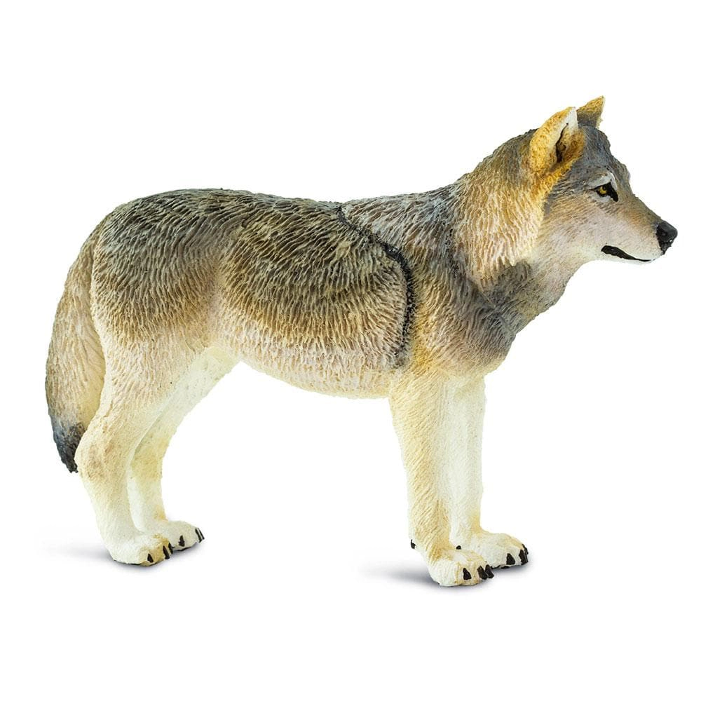 Safari Ltd. - Gray Wolf Kids Toy Figure