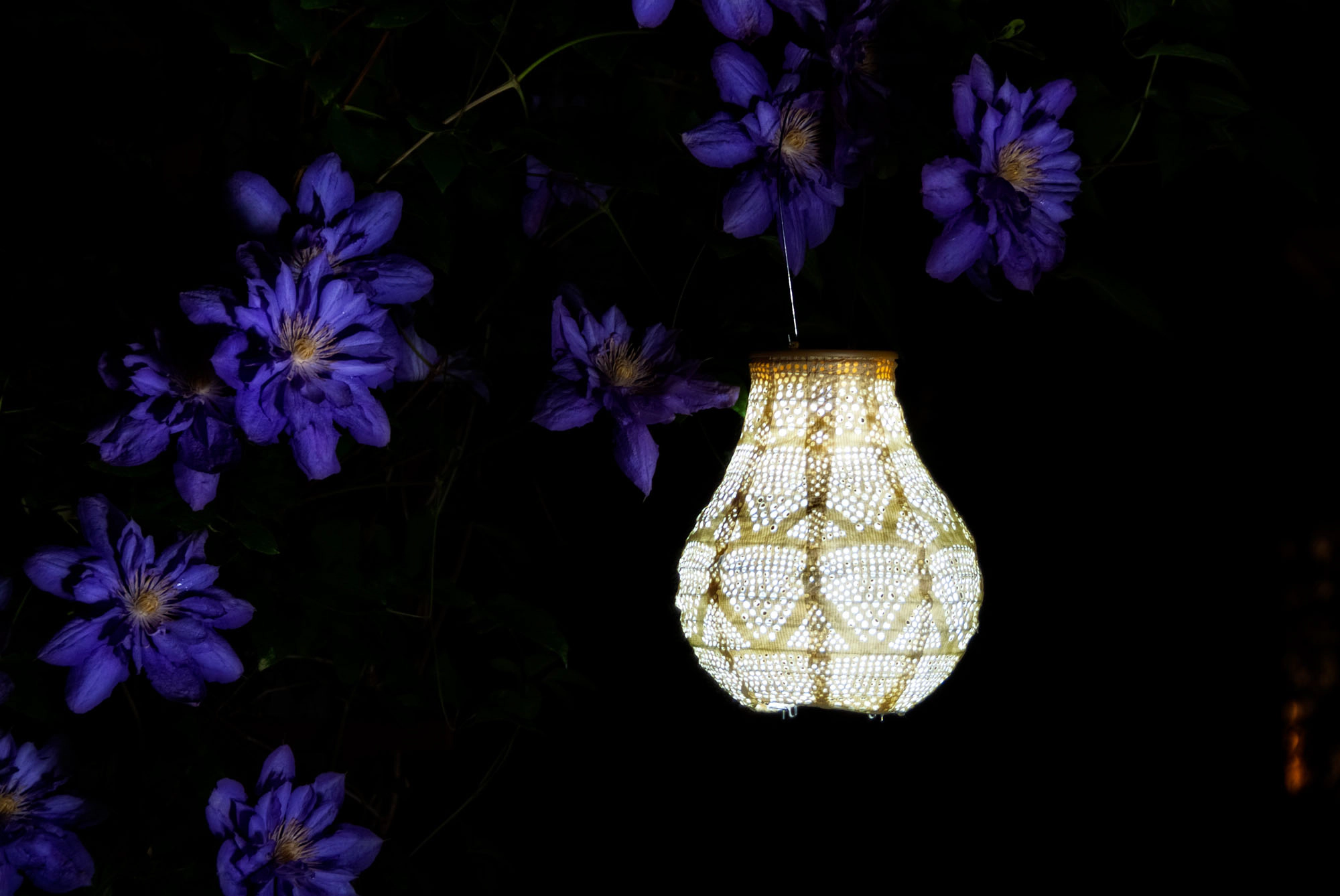 Allsop Home & Garden Soji Stella Bulb 8 Solar Lantern