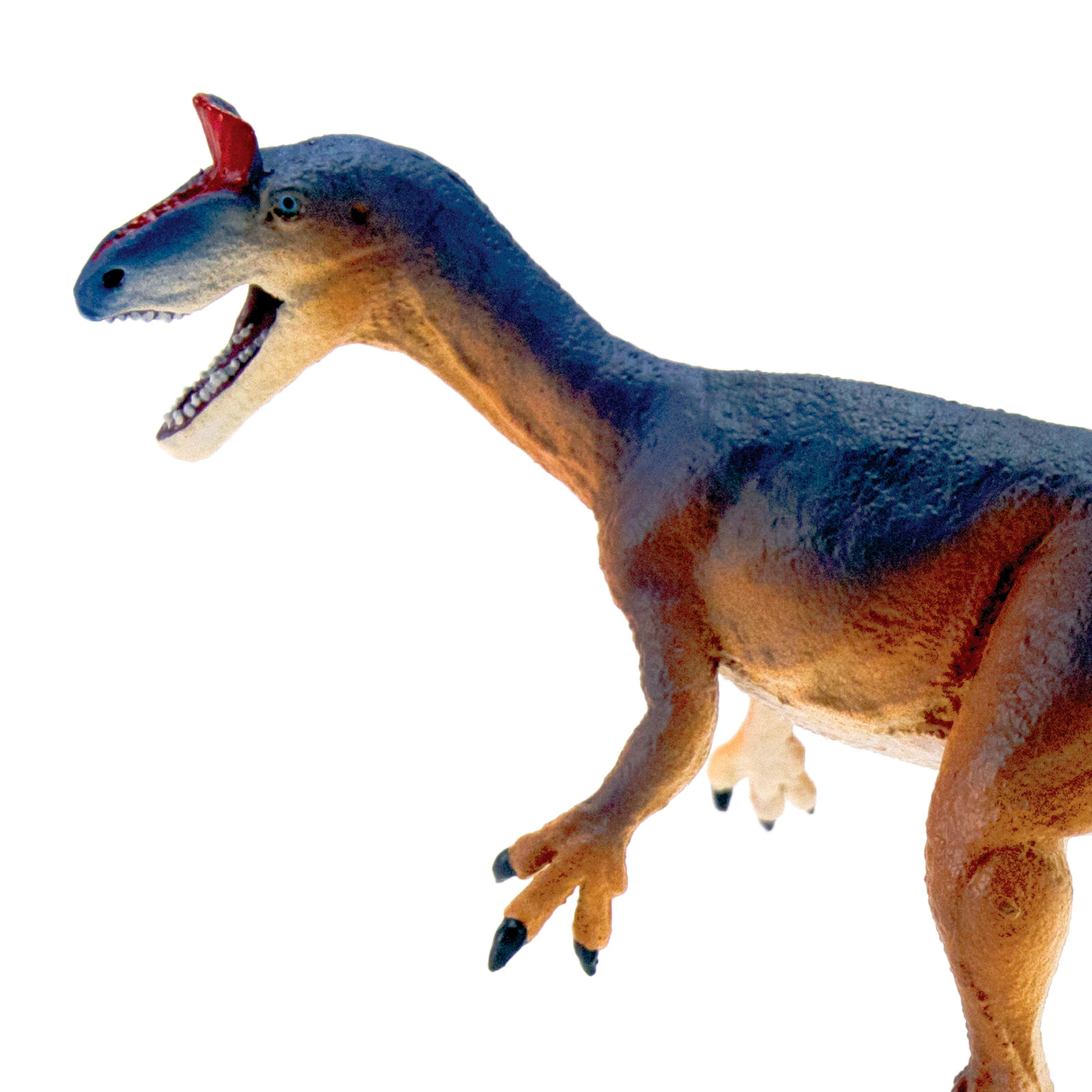 Safari Ltd. - Cryolophosaurus Kids Prehistoric/Dinosaur Toy Figure