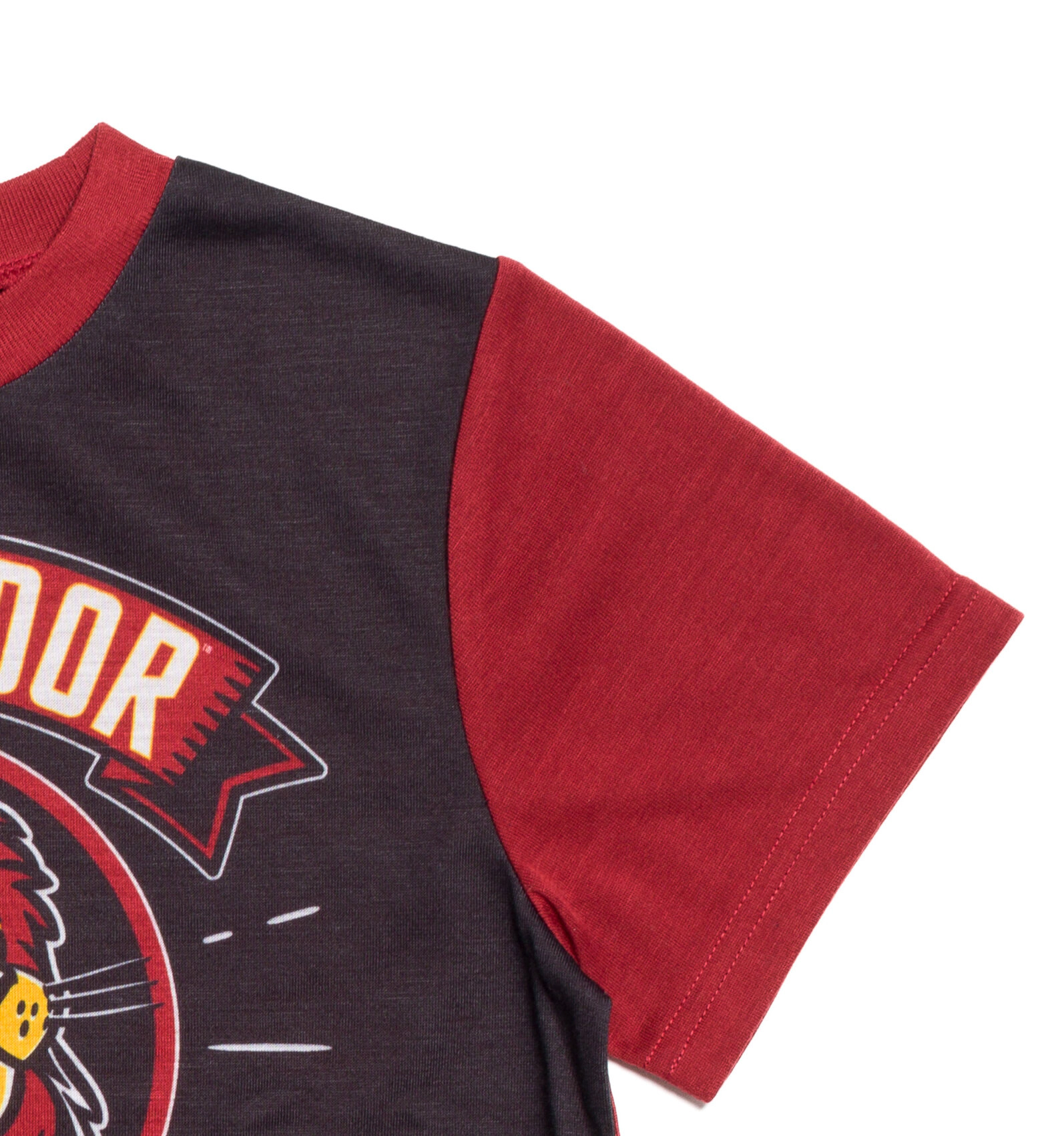 Harry Potter Gryffindor Boys' Pajama Shirt and Shorts Set