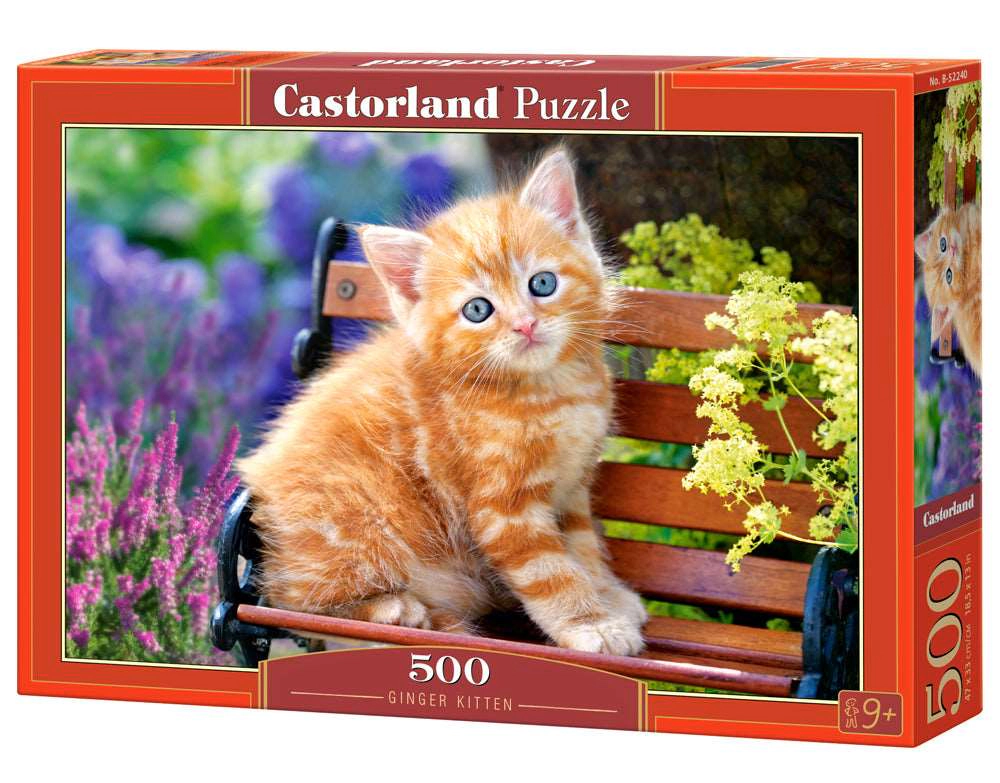CASTORLAND 500 Piece Jigsaw Puzzle, Ginger Kitten, Animal puzzle, Cat puzzle; Kittie puzzle, Cute cat, B-52240