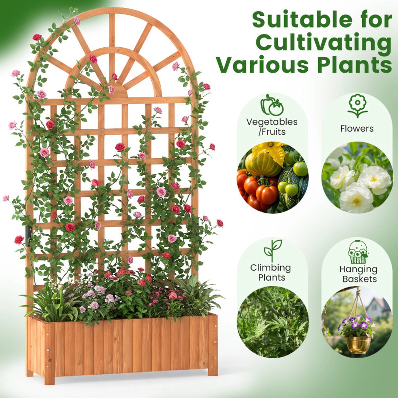 SUGIFT Brown Wood Raised Garden Bed with 71-in Lattice Trellis Privacy Screen 36-in W 12-in D 88-lb Box Capacity