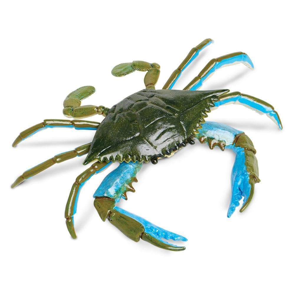 Safari Ltd. - Blue Crab Kids Toy Figure