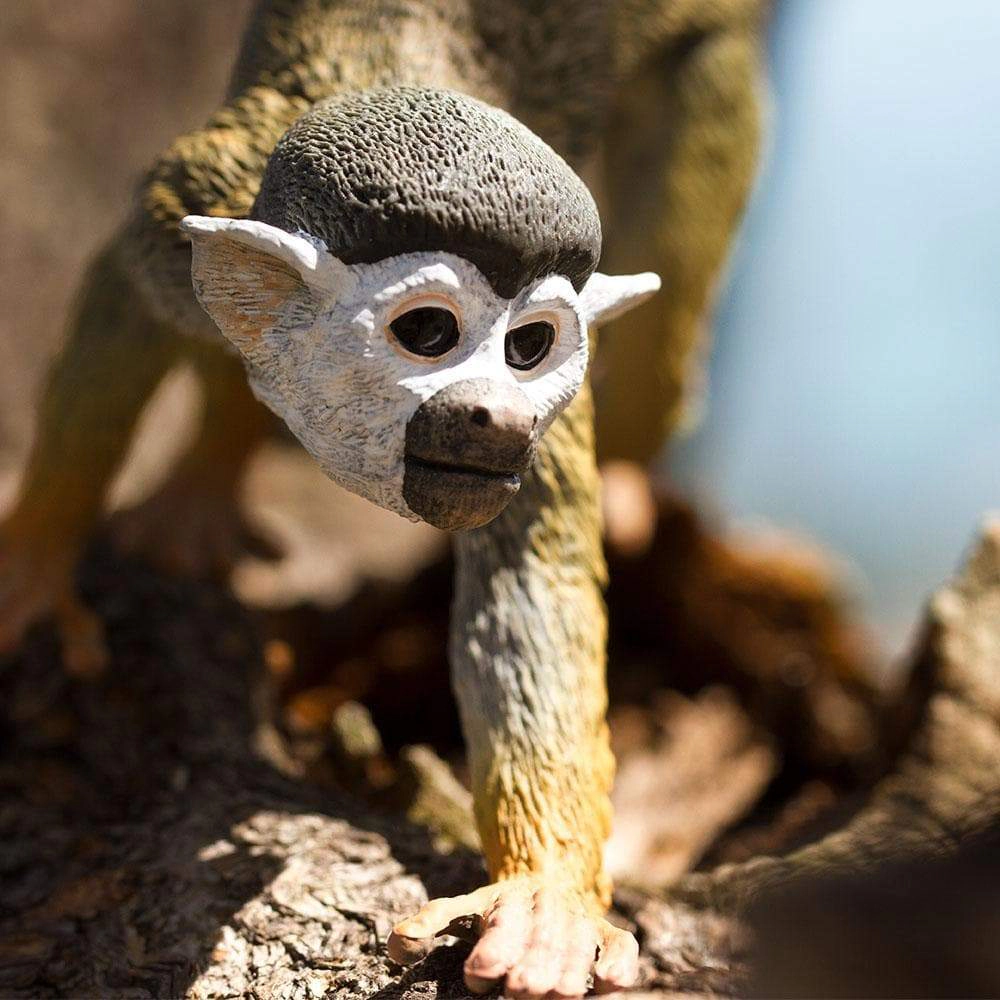 Safari Ltd. - Squirrel Monkey Kids Toy Figure