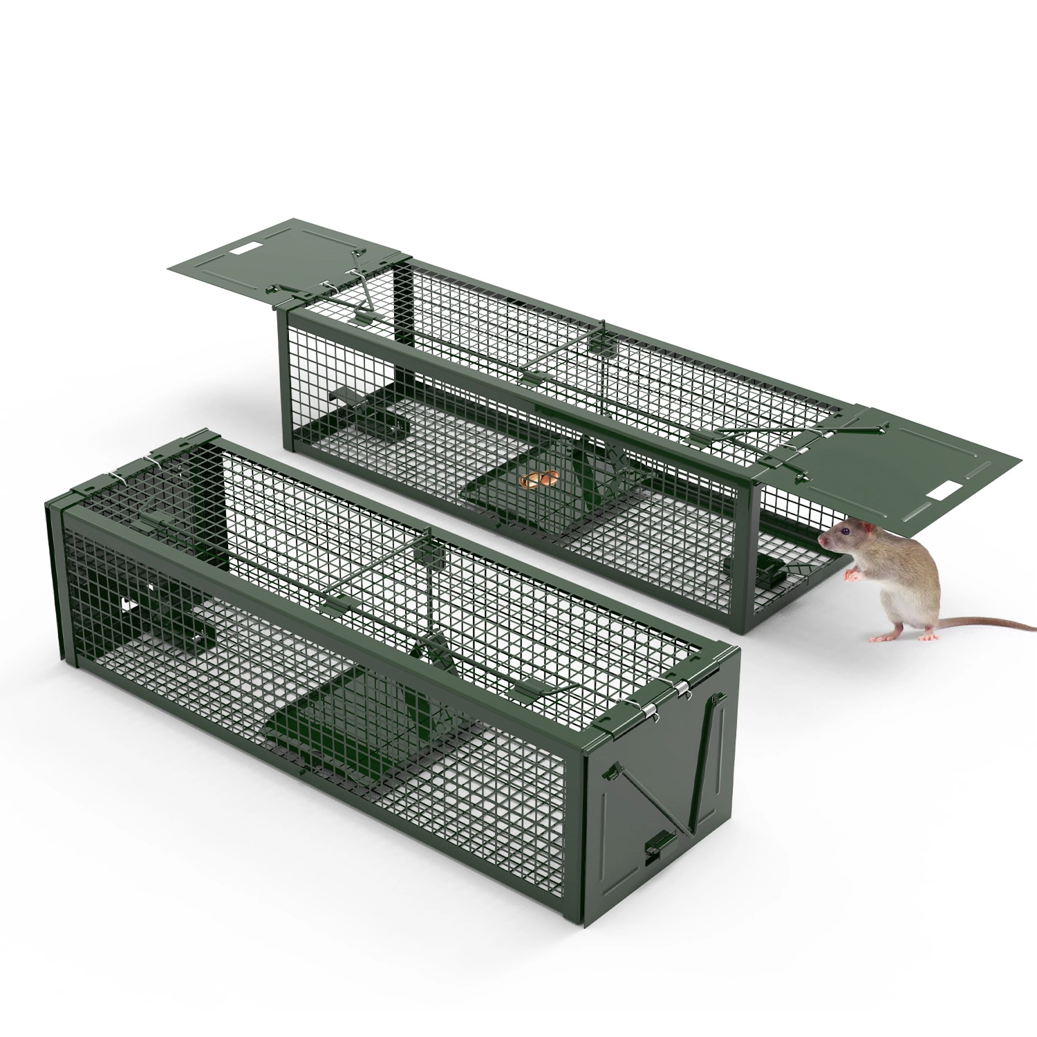 GBruno 2-Pc Dual-Door Live Rat Trap Cage