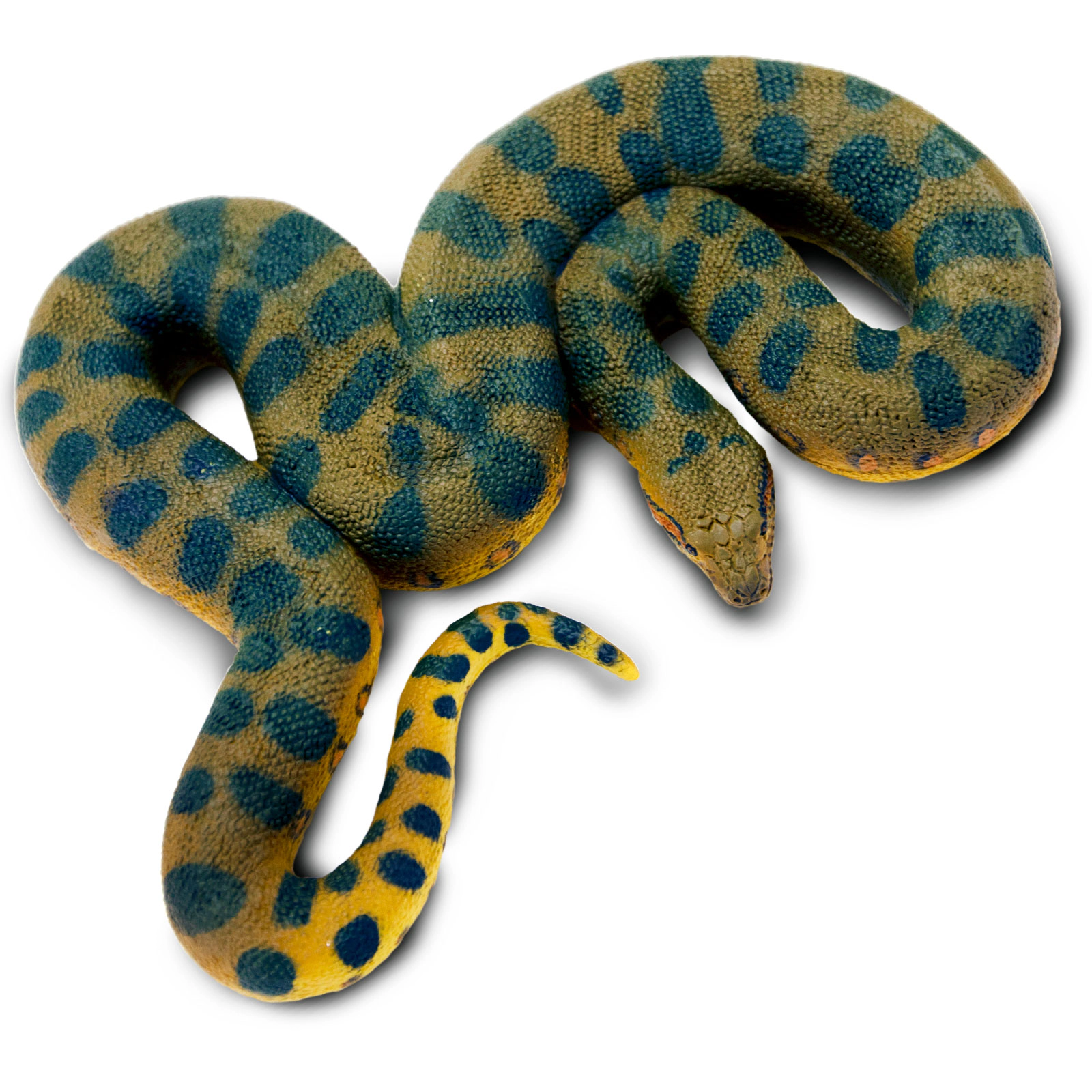 Safari Ltd. - Green Anaconda Kids Toy Figure