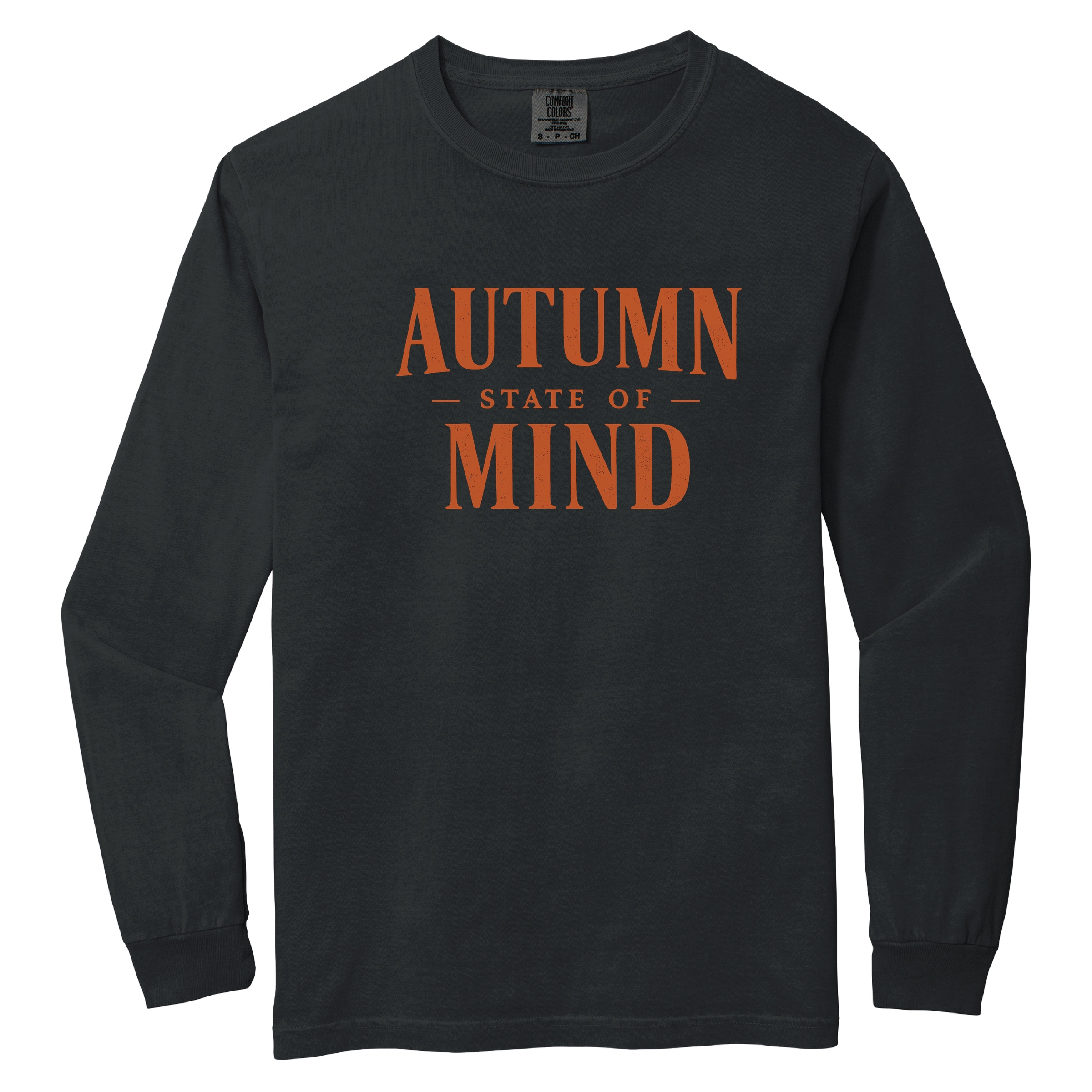 Simply Sage Market - Women's Garment Dyed Long Sleeve Graphic T-Shirt Autumn State of Mind