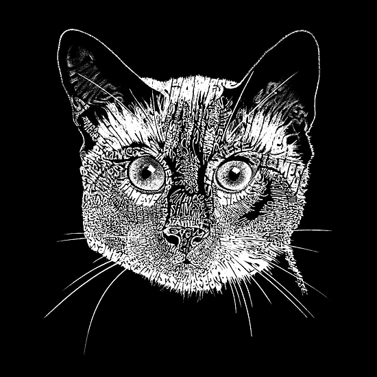 LA Pop Art Girls Word Art Hoodie - Siamese Cat