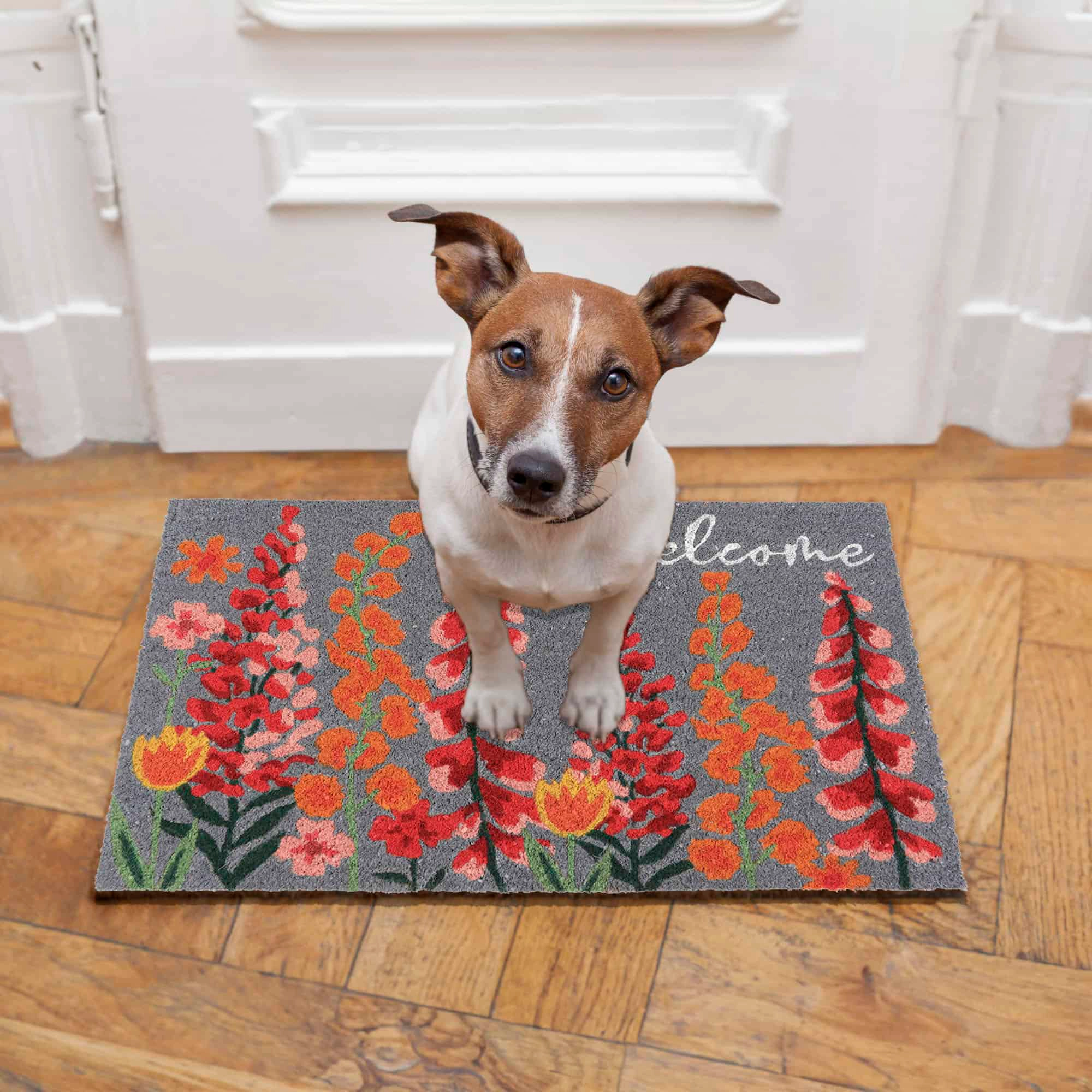 Evideco French Home Goods Gray Floral Welcome Coir Doormat 30 x 18 Inches