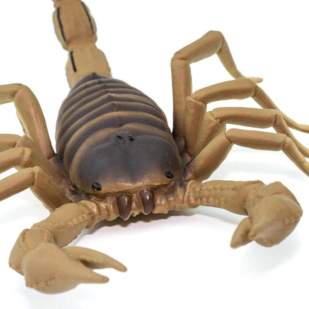 Safari Ltd. - Scorpion Kids Toy Figure