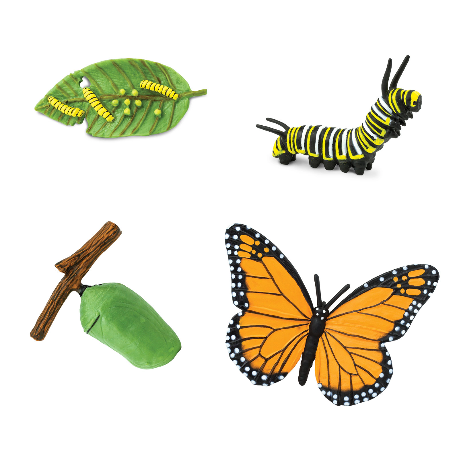 Safari Ltd. - Life Cycle of a Monarch Butterfly- Miniature Lifecycle Collection