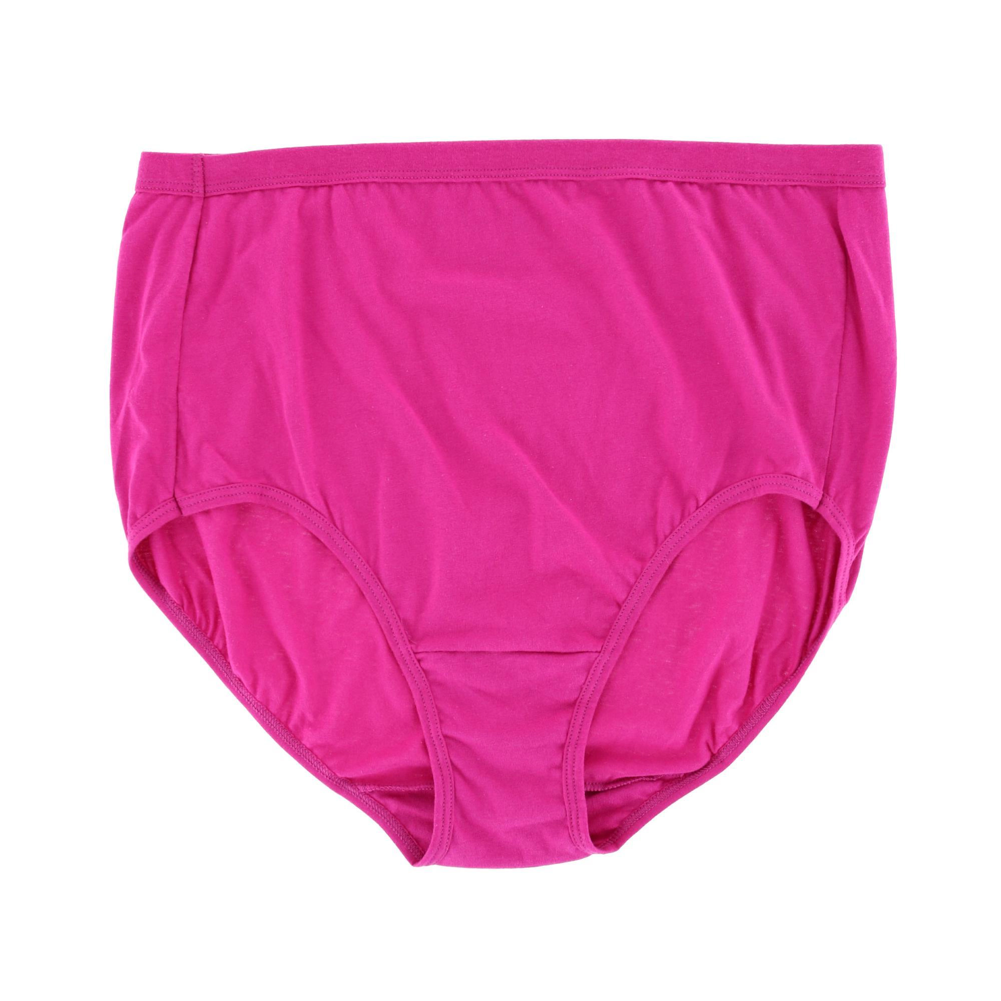 Fruit of the Loom Women's Plus Fit For Me Assorted Brief (6 Pack)