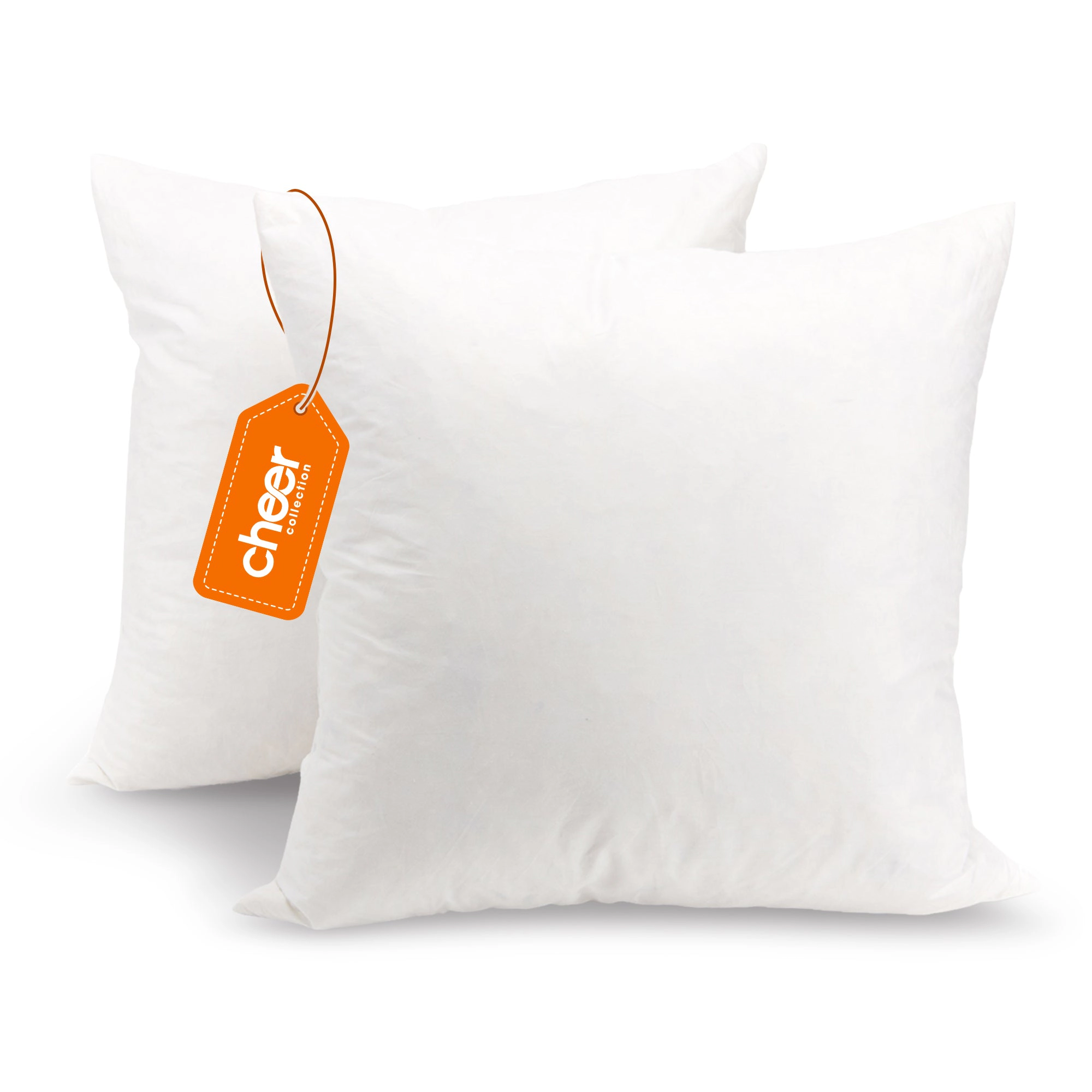 Cheer Collection Down and Feather Throw Pillow Insert 2 Pack
