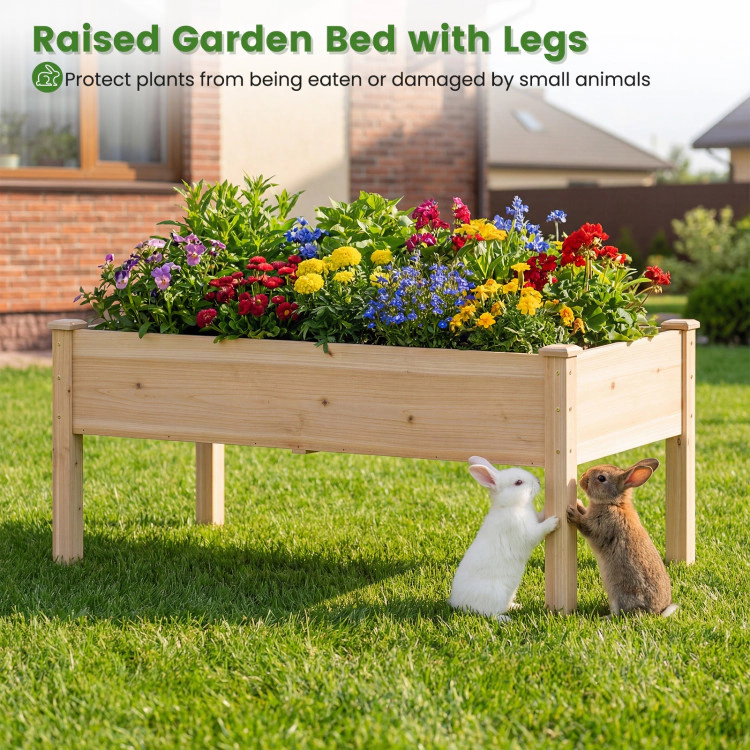 Hivvago Wooden Raised Garden Bed with Legs Natural Fir Wood Elevated Planter Box