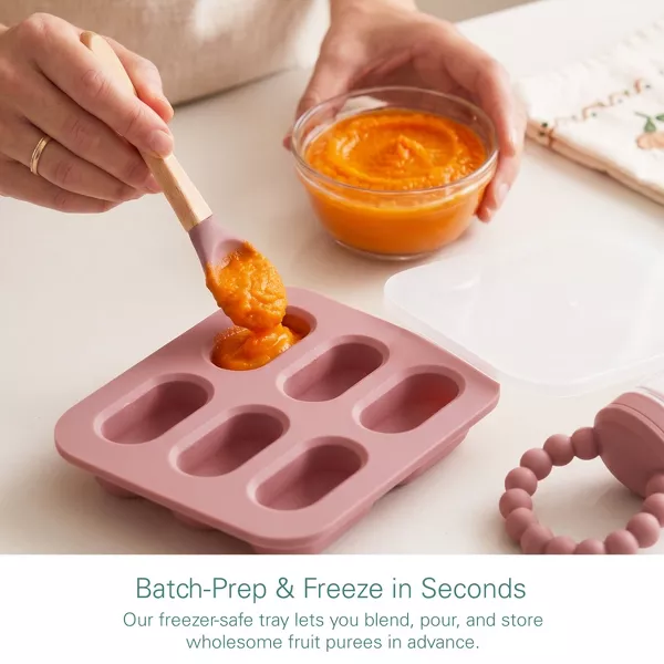 Sperric Silicone Baby Fruit Feeders Set of 2 with Freezer Tray, Extra Pouches & Travel Lids for Safe Batch Prep