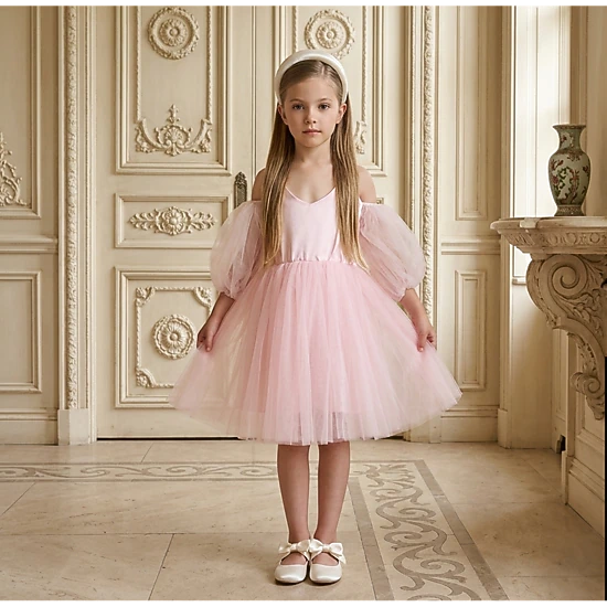 2Bunnies Girls' 3T-8Y Sheer Puff Sleeve Off-Shoulder Tulle Party Flower Girl Dress