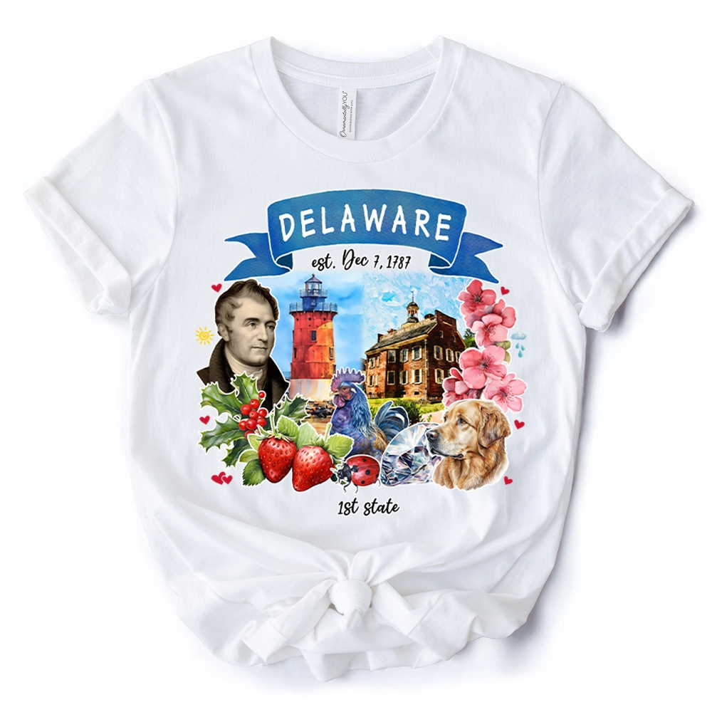 OrnamentallyYou Unisex Artistic Delaware State Themes And Landmarks T-Shirt