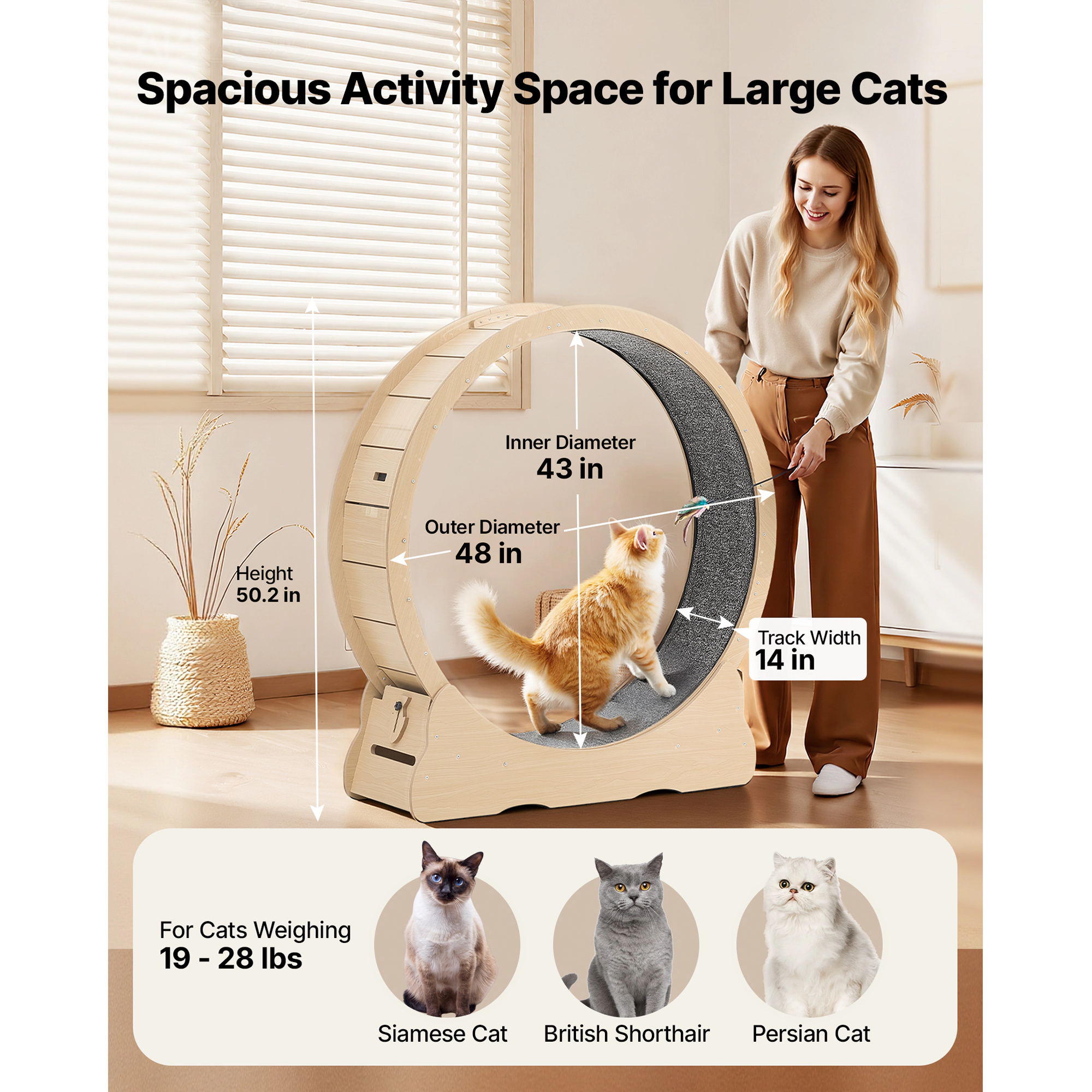 HONGGE 48-Inch Wooden Cat Exercise Wheel for Medium to Large Cats Up to 28 lbs, Quiet Indoor Wheel