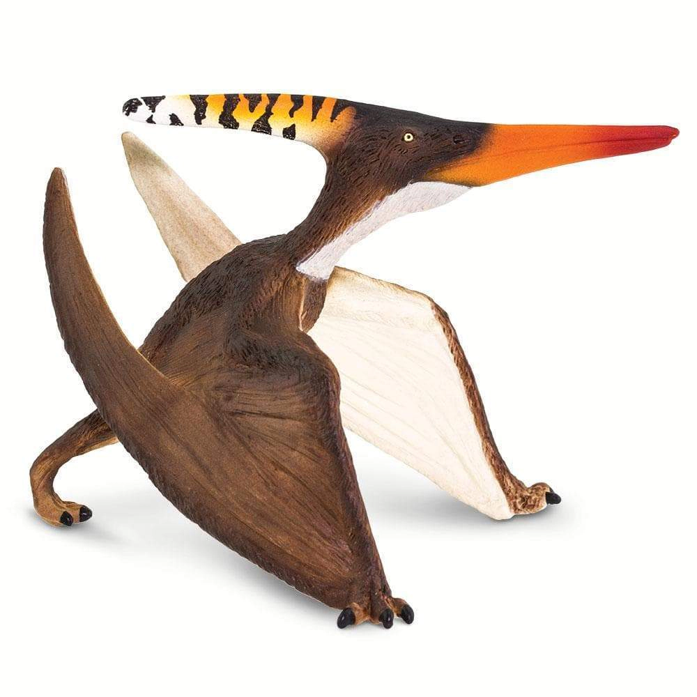 Safari Ltd. - Pteranodon Kids Prehistoric/Dinosaur Toy Figure
