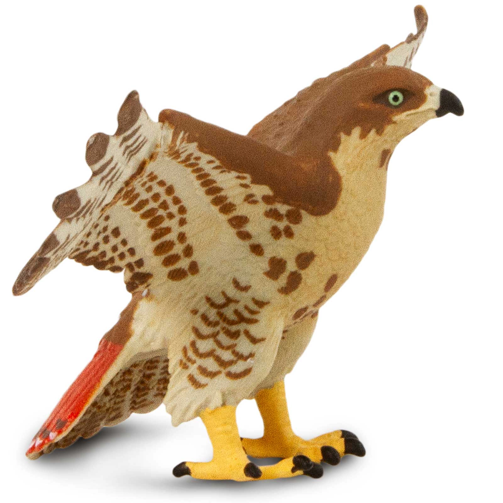 Safari Ltd. - Red-Tailed Hawk Kids Toy Figure