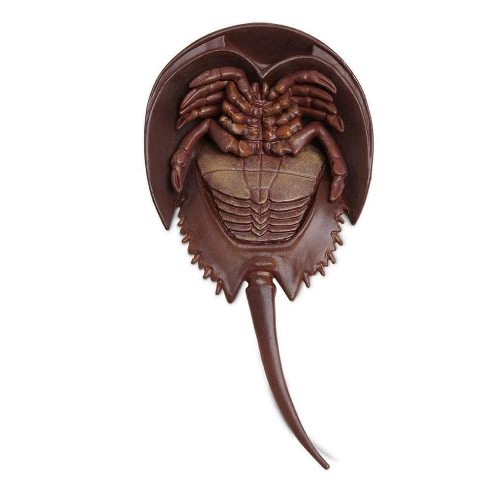 Safari Ltd. - Horseshoe Crab Kids Toy Figure