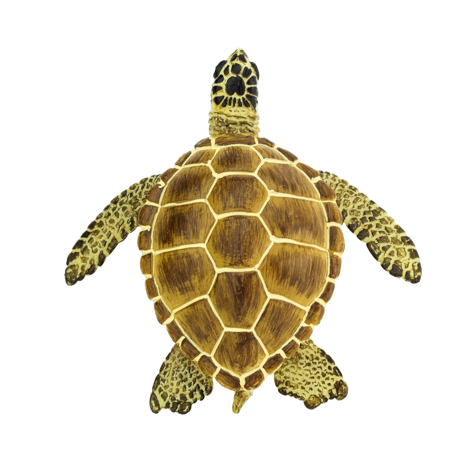 Safari Ltd. - Loggerhead Turtle Kids Toy Figure