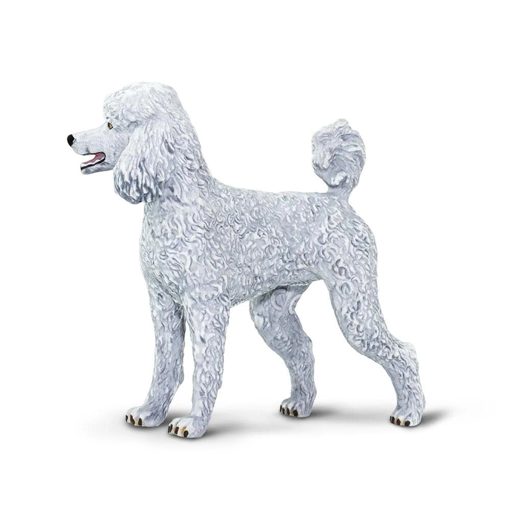 Safari Ltd. - Poodle Kids Toy Figure