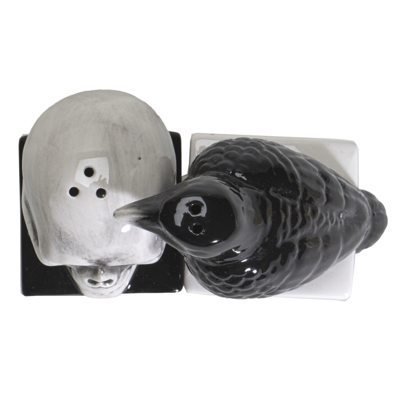 Pacific Giftware Quoth The Raven Halloween Ceramic Salt and Pepper Shakers Set