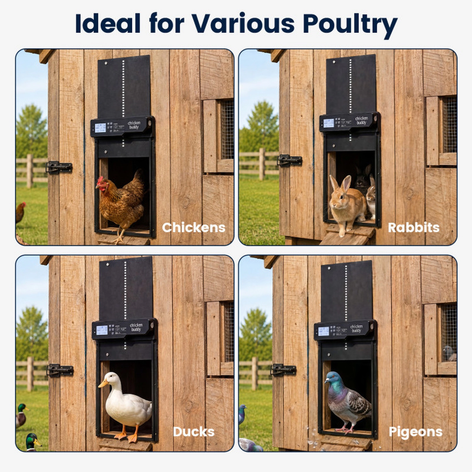 SUGIFT Solar Powered Automatic Chicken Coop Door with Remote Control and Light Sensor Timer Black