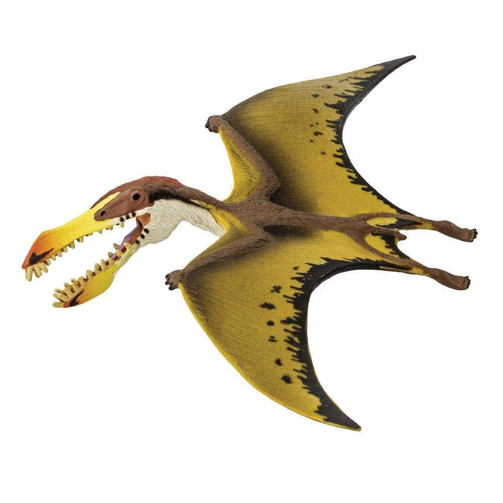 Safari Ltd. - Pterosaur Kids Prehistoric/Dinosaur Toy Figure