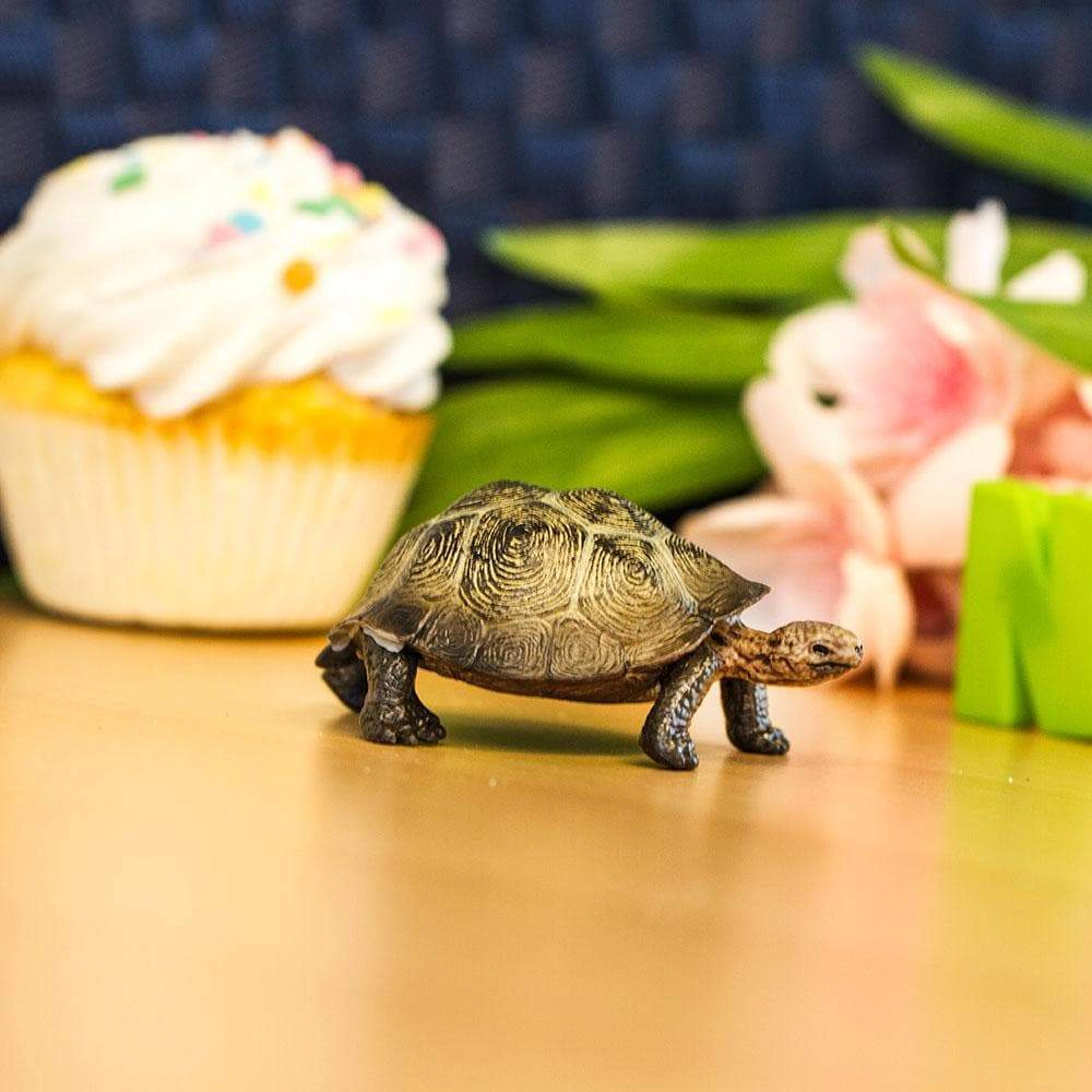 Safari Ltd. - Desert Tortoise Kids Toy Figure