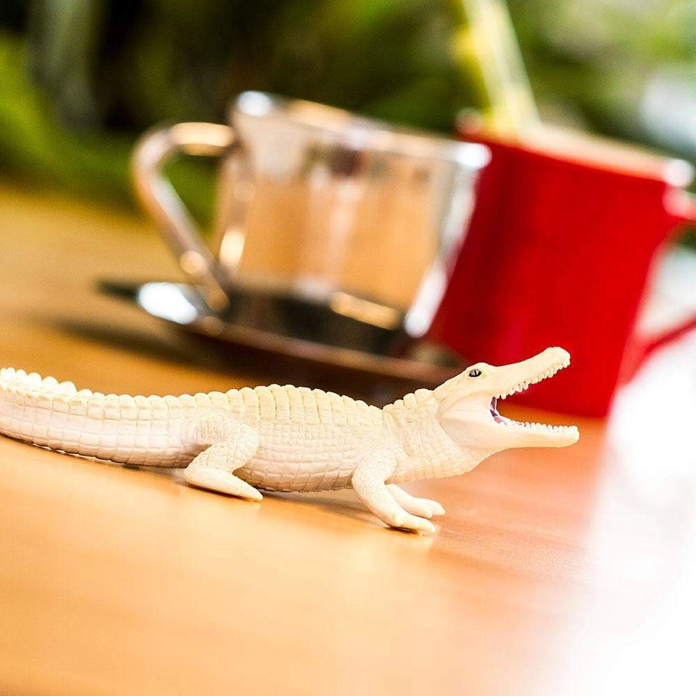 Safari Ltd. - White Alligator Kids Toy Figure