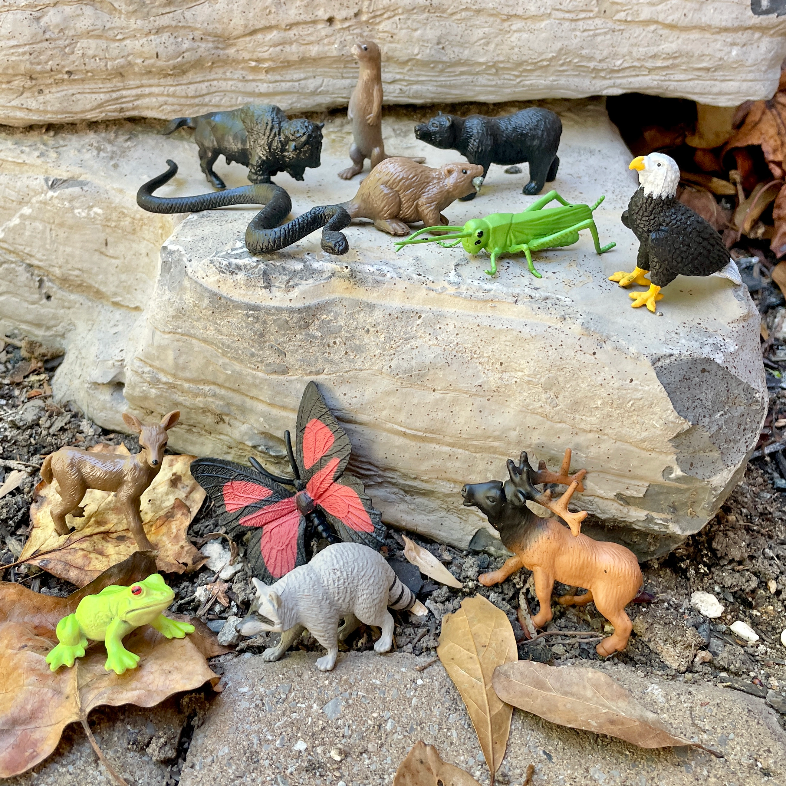 Safari Ltd. - In the Woods TOOB - contains 12 Mini Figurines