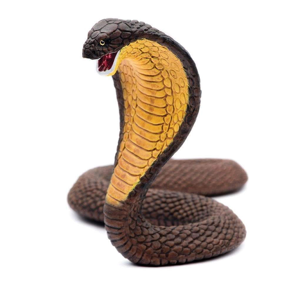 Safari Ltd. - Cobra Kids Toy Figure