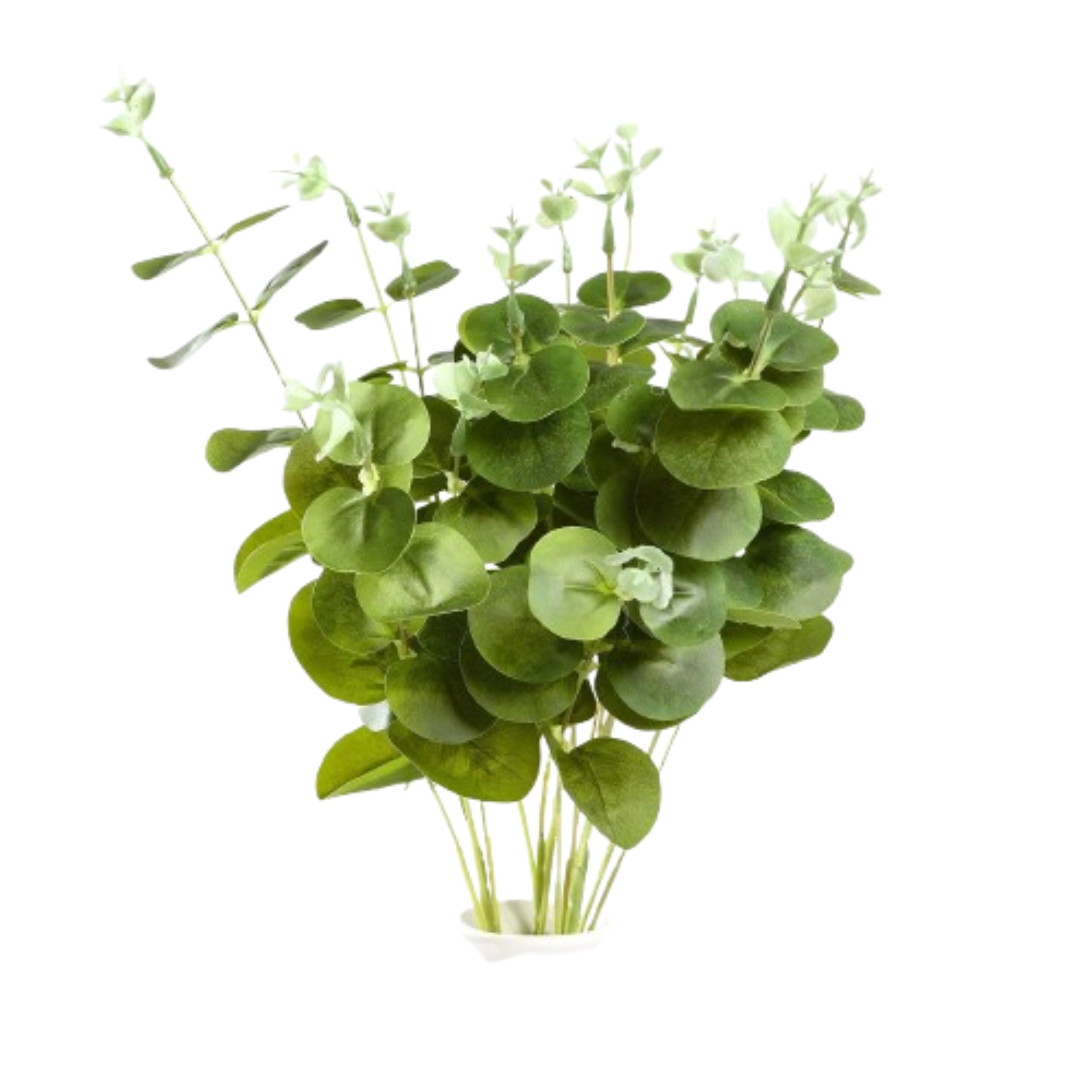 Home Collection Set of 2 19-Inch Artificial Eucalyptus Greenery Bushes