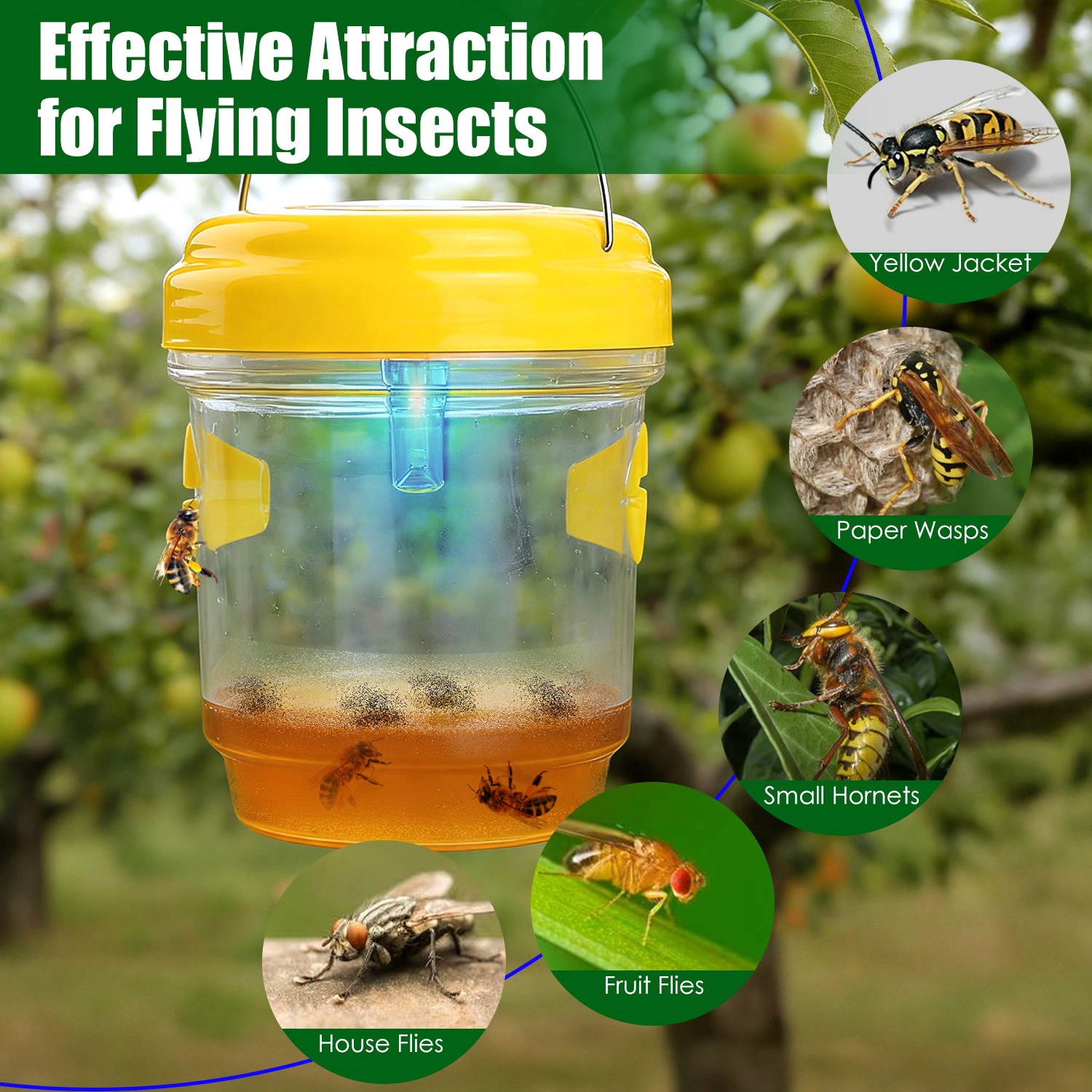 GBruno 3-Pc Solar Wasp Traps With UV Light