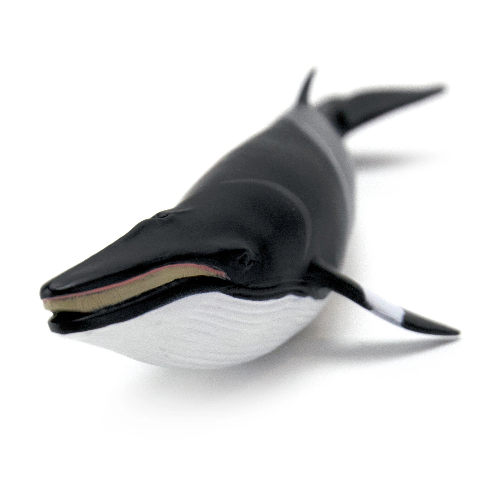 Safari Ltd. - Minke Whale Kids Toy Figure