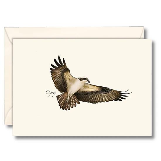 Earth Sky + Water Osprey Notecard Set - 8 Blank Cards with Envelopes