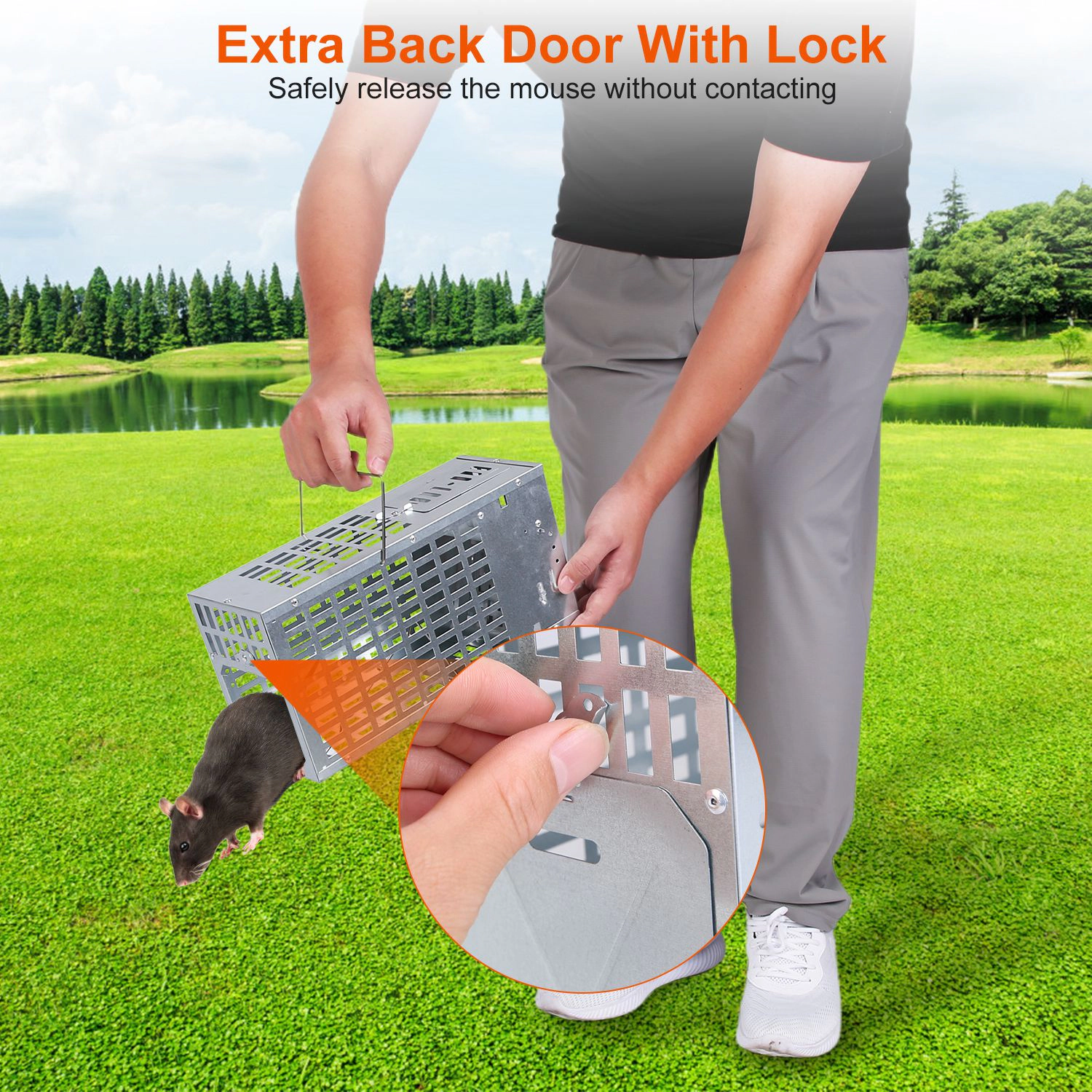 GBruno Humane Reusable Metal Mouse Trap Cage
