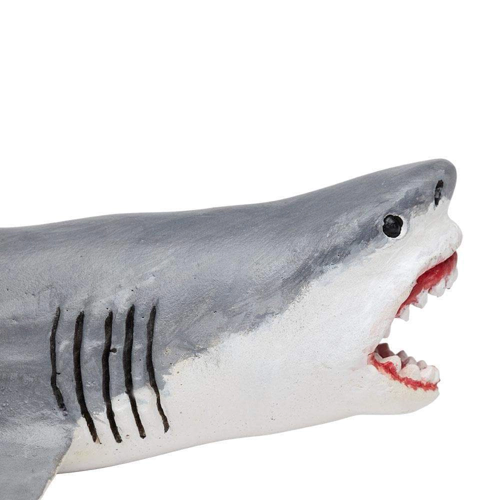 Safari Ltd. - Megalodon Kids Prehistoric/Dinosaur Toy Figure