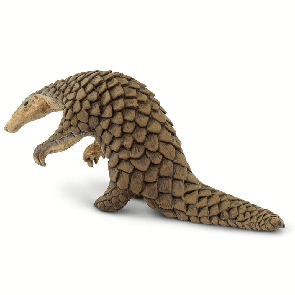 Safari Ltd. - Pangolin Kids Toy Figure