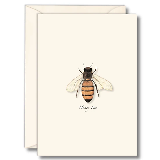 Earth Sky + Water Honey Bee Notecard Set - 8 Blank Recycled Paper Cards ...