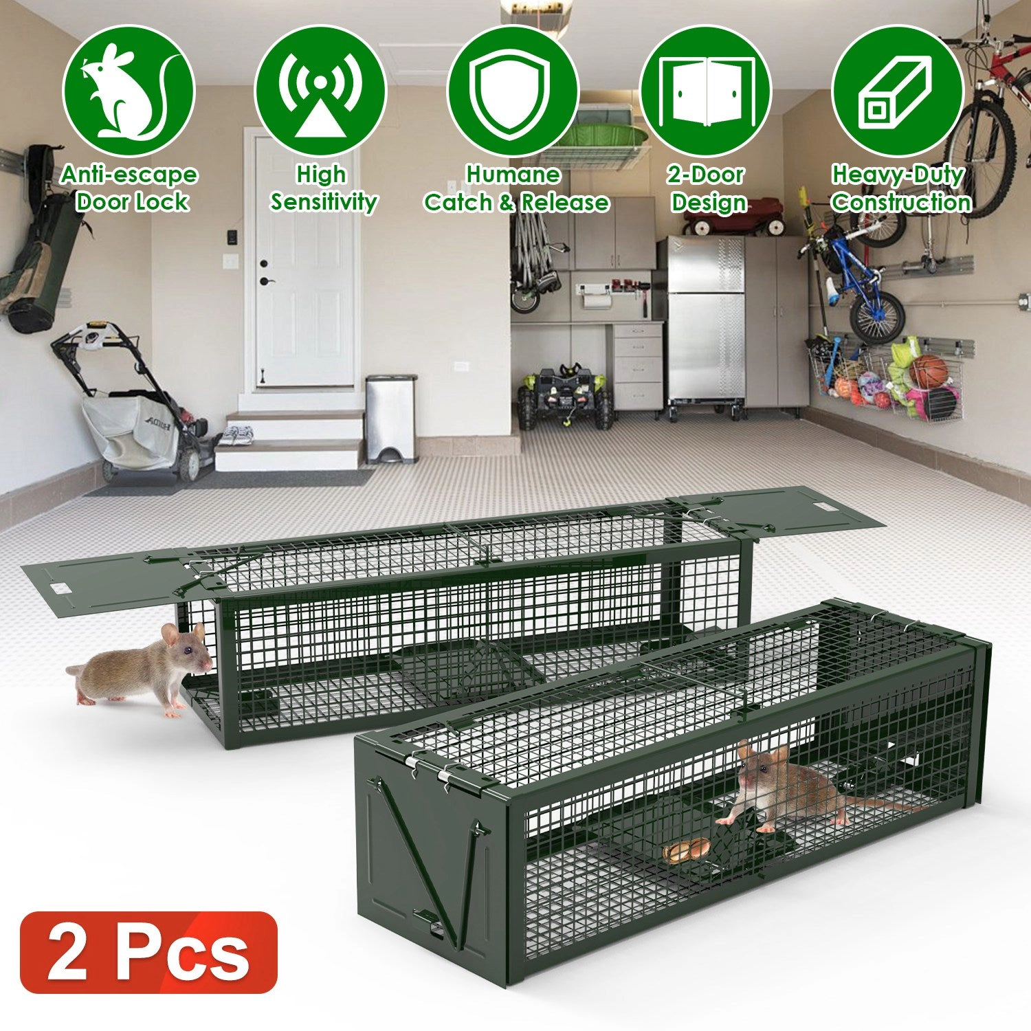 GBruno 2-Pc Dual-Door Live Rat Trap Cage