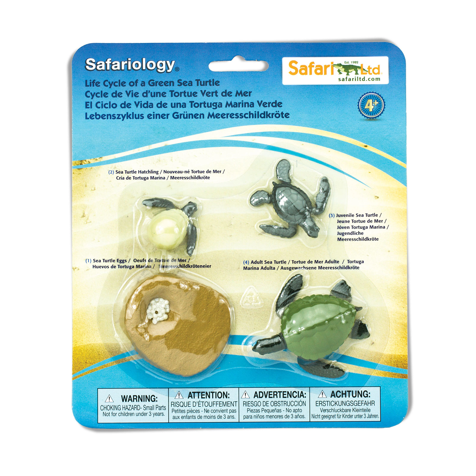 Safari Ltd. - Life Cycle of a Green Sea Turtle - Miniature Lifecycle Collection