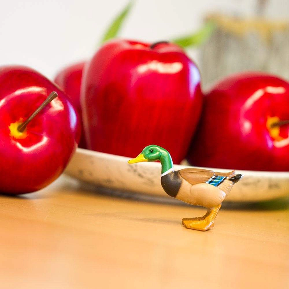 Safari Ltd. - Mini Duck Kids Toy Figure