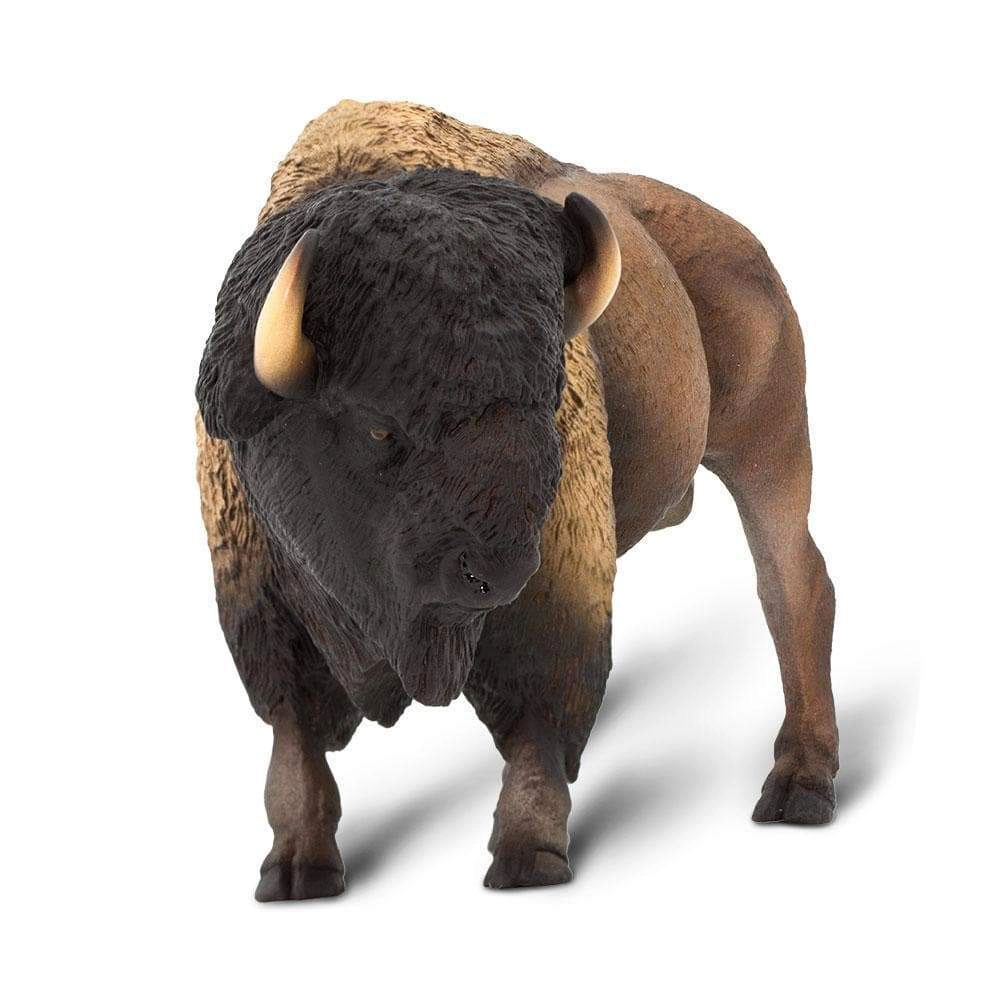 Safari Ltd. - Bison Kids Toy Figure