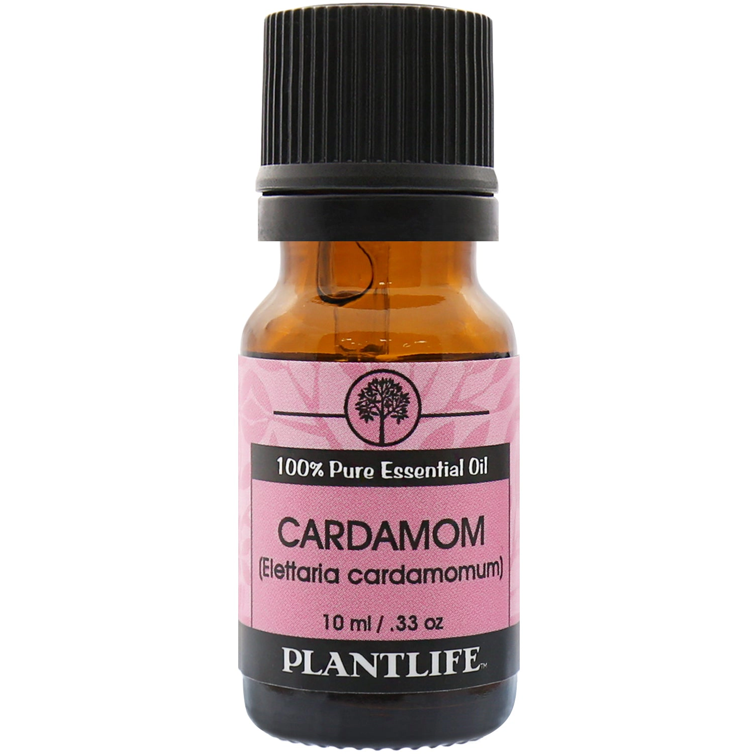 Plantlife Cardamom Essential Oil