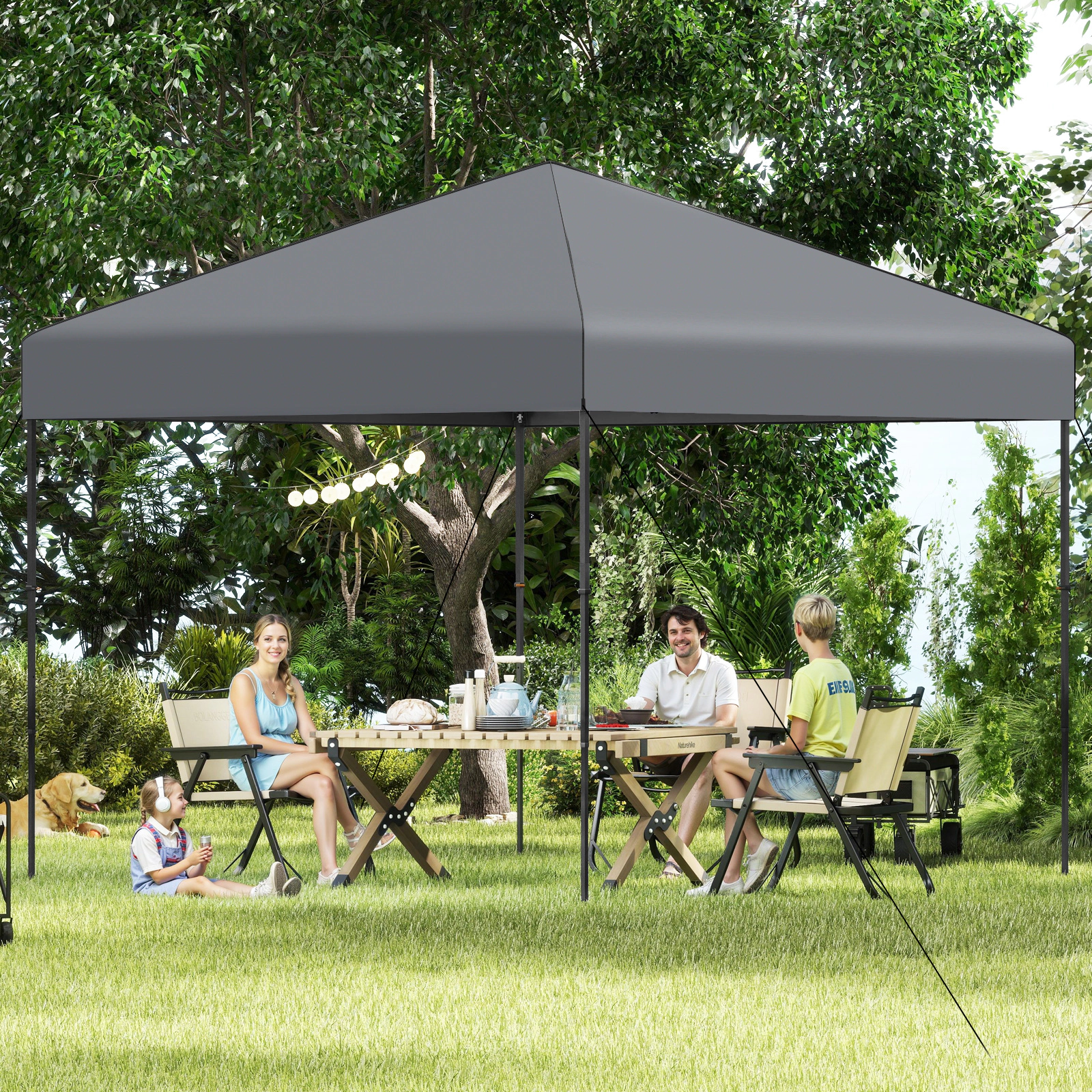 LJG 10 x 10 Feet Pop up Canopy Tent with Portable Carrying Bag and 8 Stakes